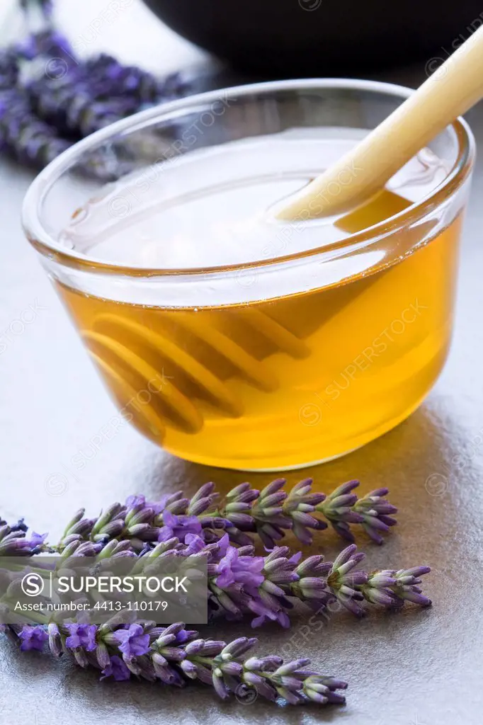 Bowl of Honey Lavender flowers