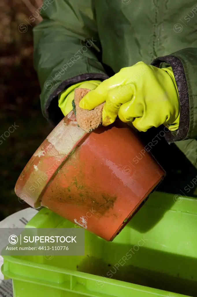 Pots maintenance in a garden