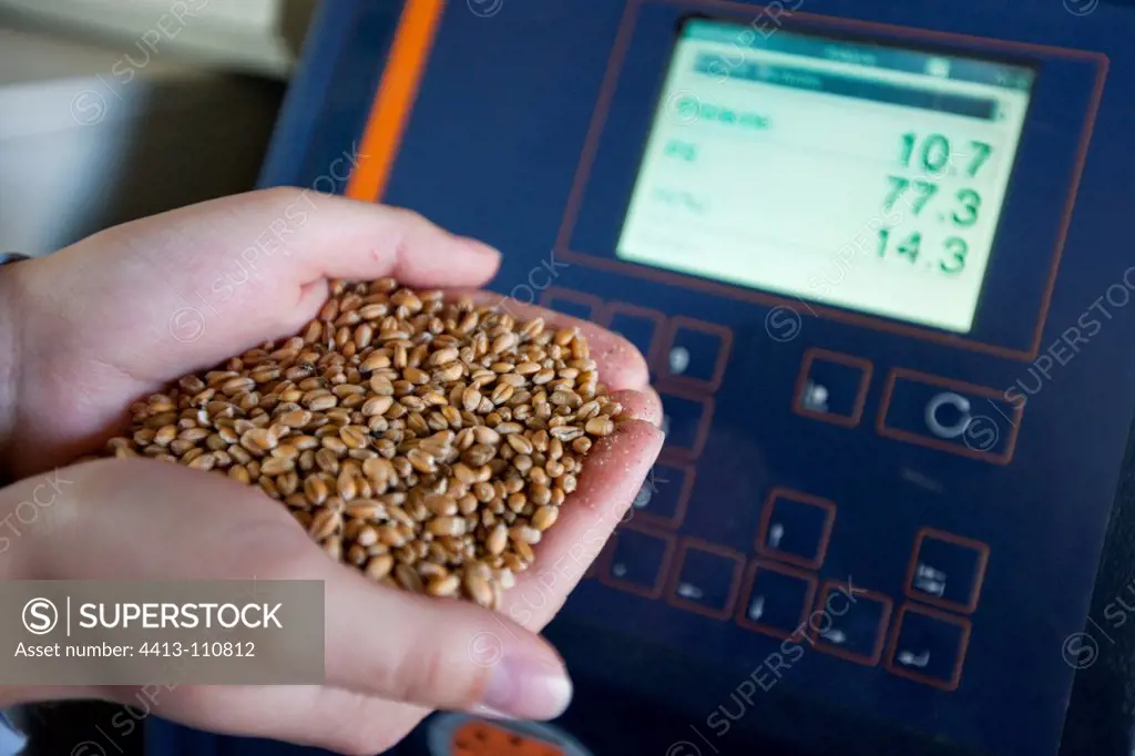 Measurement of Grain Moisture on delivery