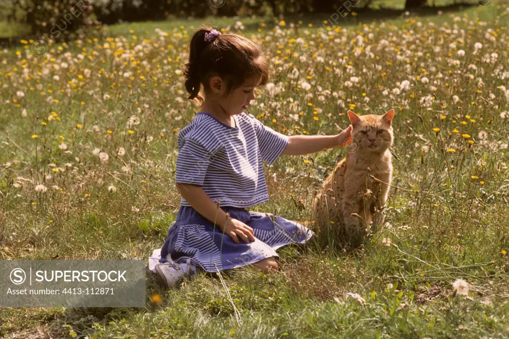 Girl stroking a cat in a flowery meadow