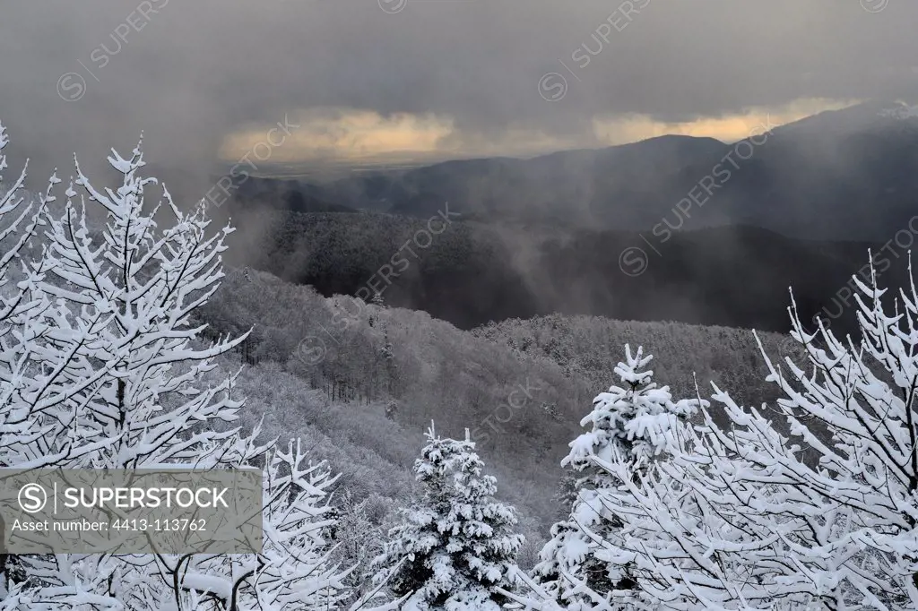 First snow on the peaks of the Vosges Markstein France