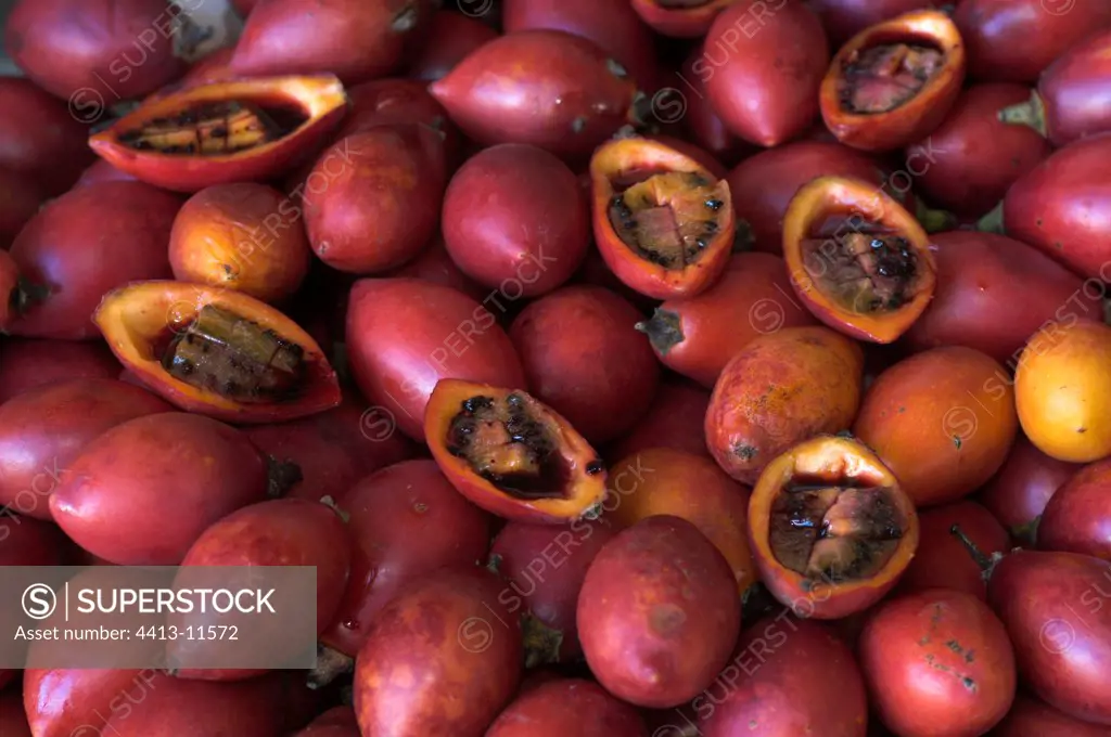 Red Passion Fruits Mercado dos Lavradores Madeira
