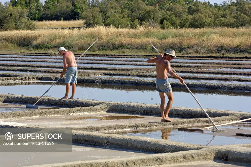 Workers collecting the fleur de sel Oleron Island France