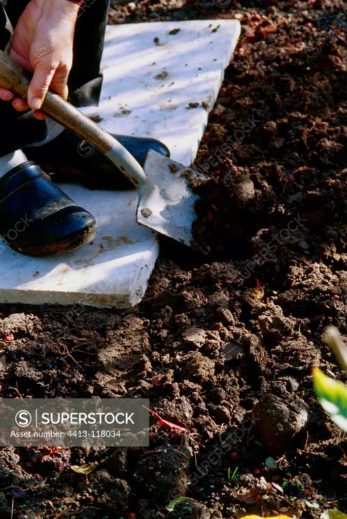 Person shovelling soil