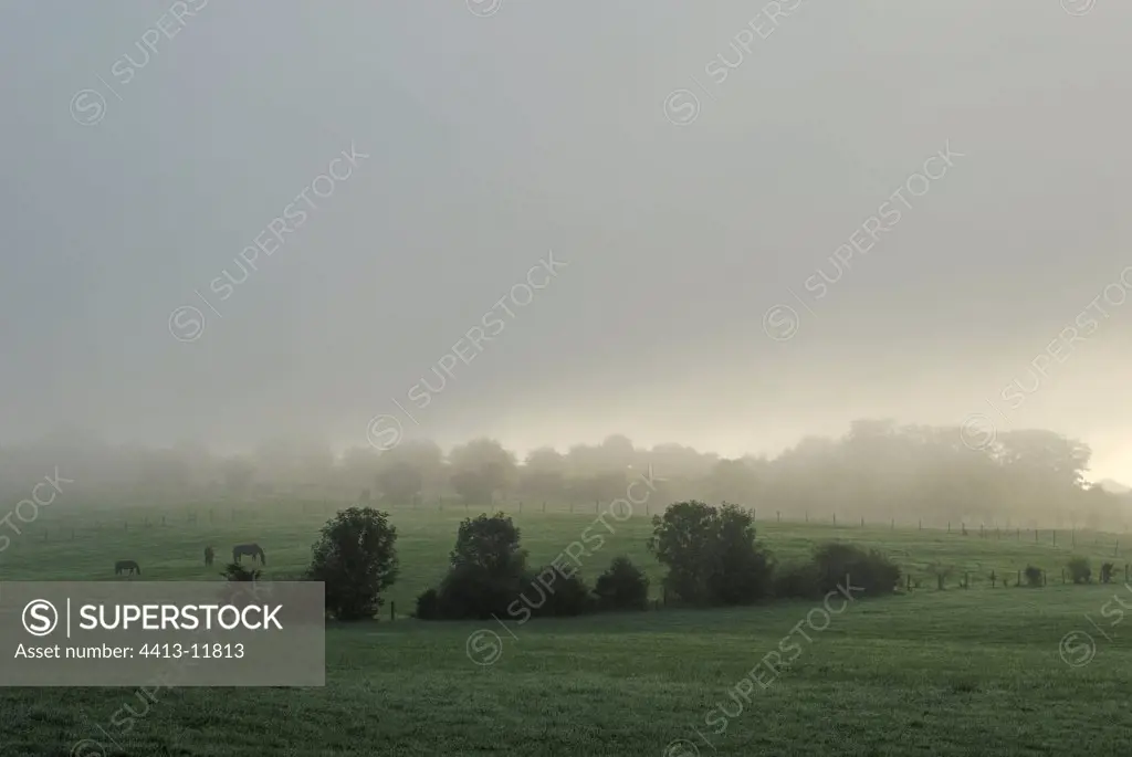Countryside in the morning fog Brognard Doubs France