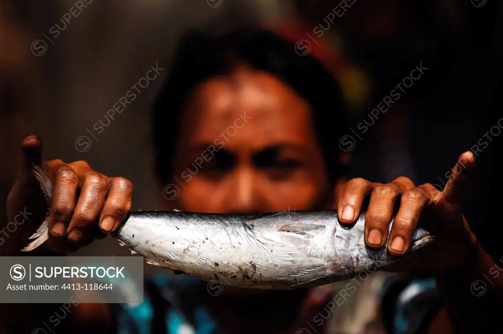 Fish on a market in Kananga in Indonesia