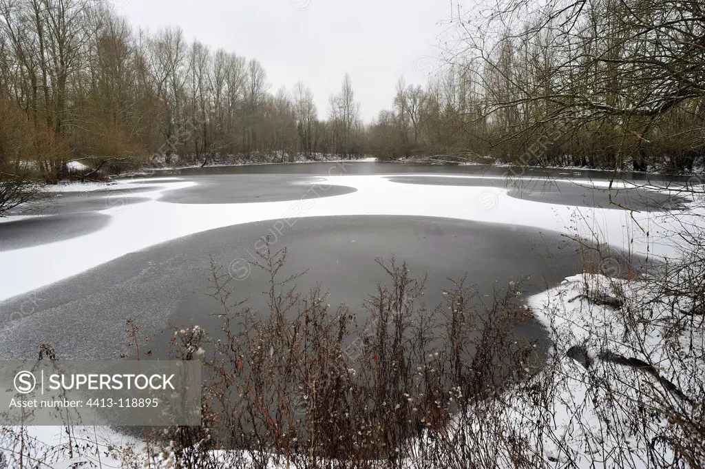 Frozen pond in winter near Cosne-Cours-sur-Loire France