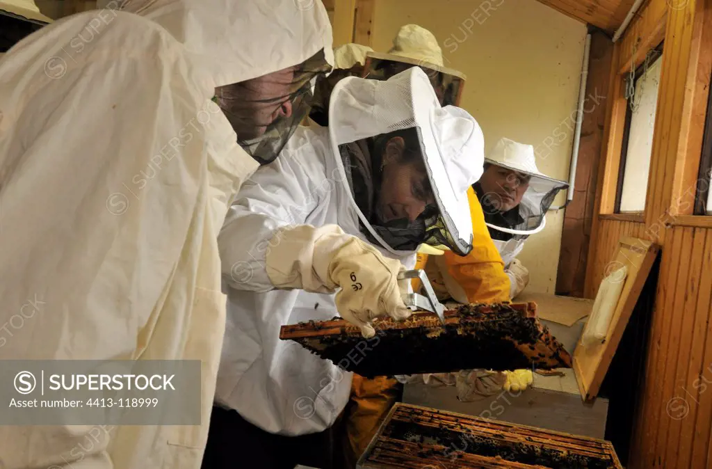 Opening of a hive at the Apiary School Mathay Doubs