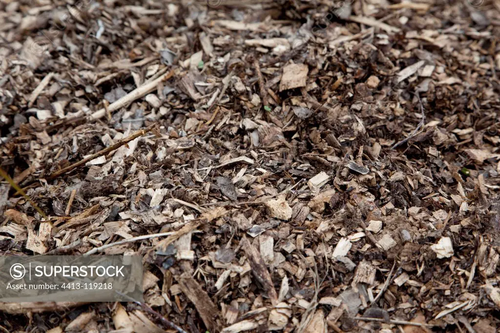 Ramial Chipped wood used for mulch Perennials