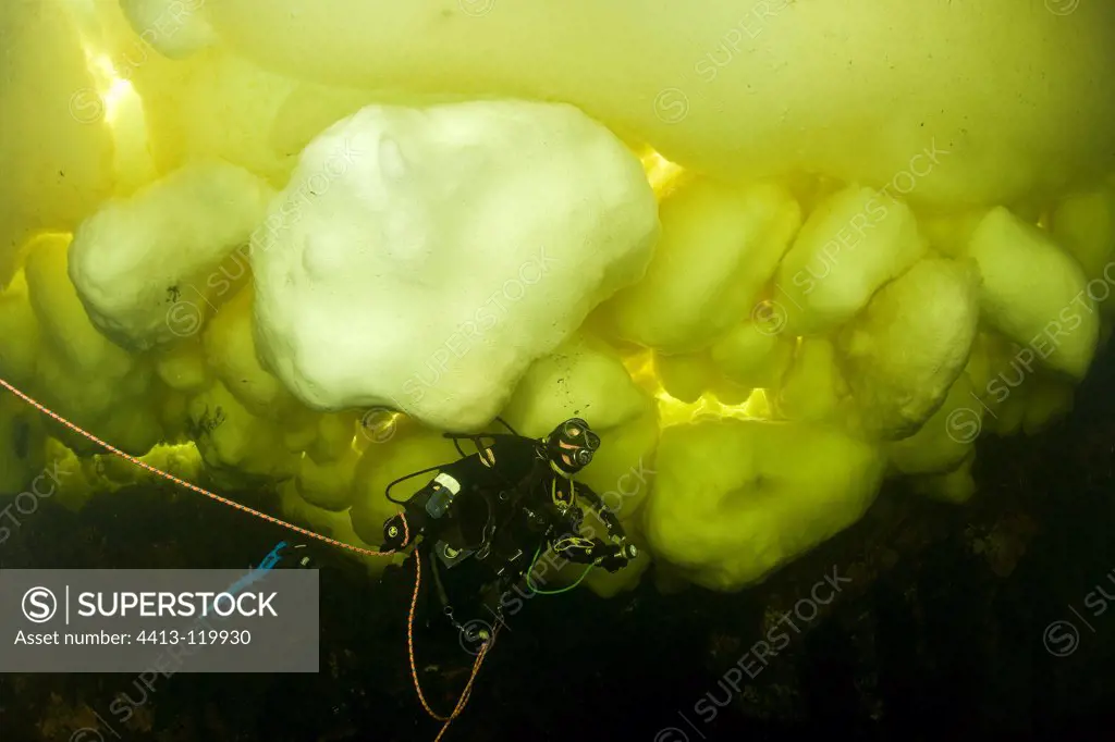 Scuba diver under ice formation White Sea Karelia Russia