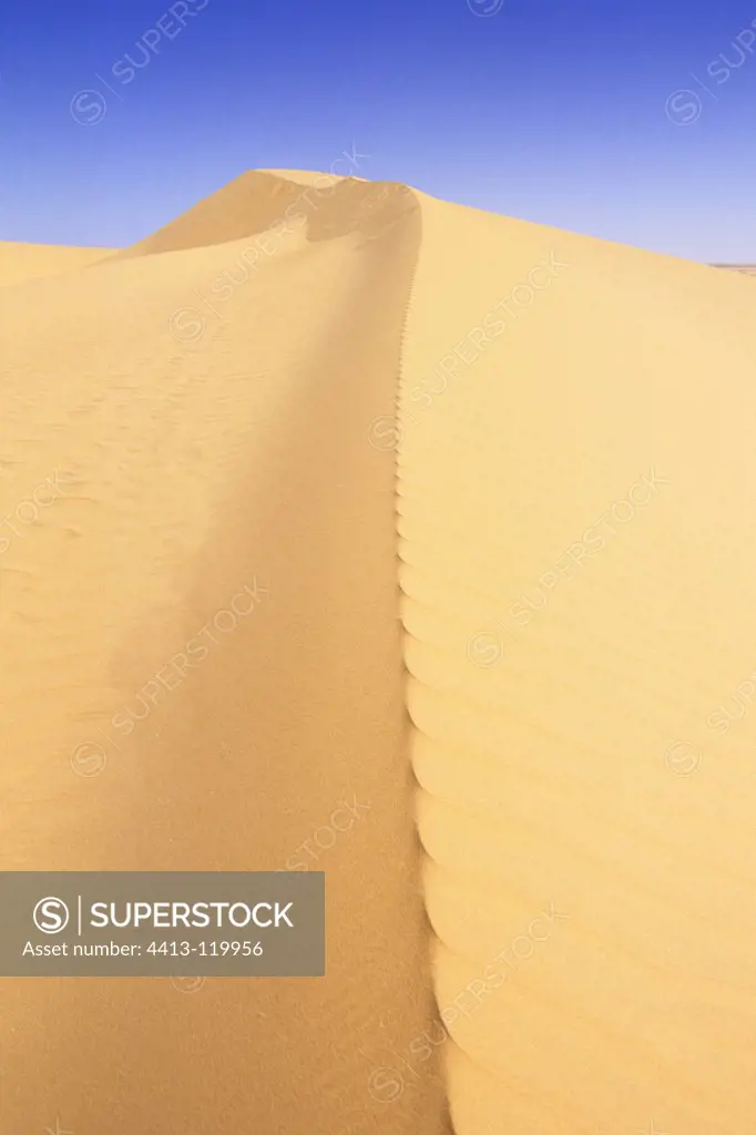 Dune sand Tagra Tassili Hoggar Algeria Sahara