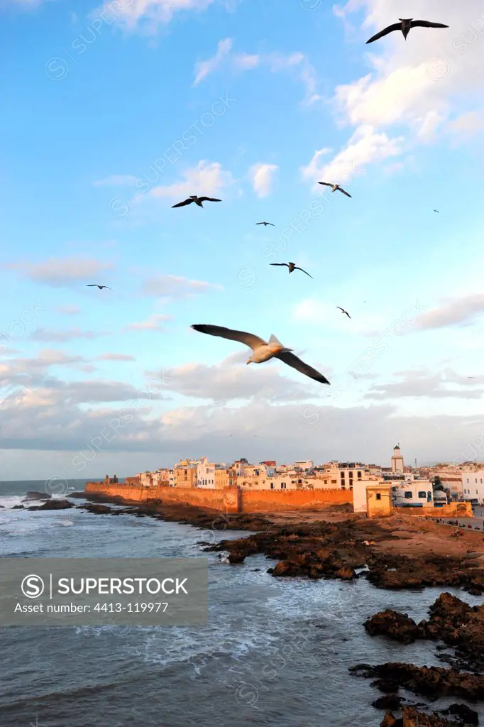 Essaouira from the bastion protecting the harbor Morocco