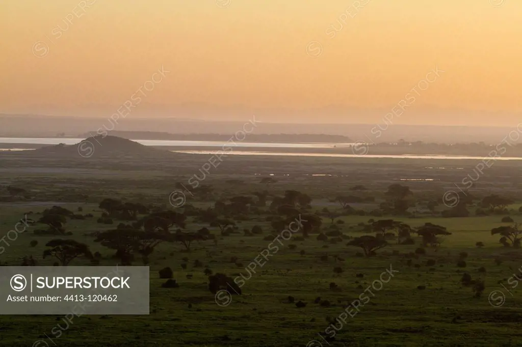 Landscape in Amboseli NP Kenya