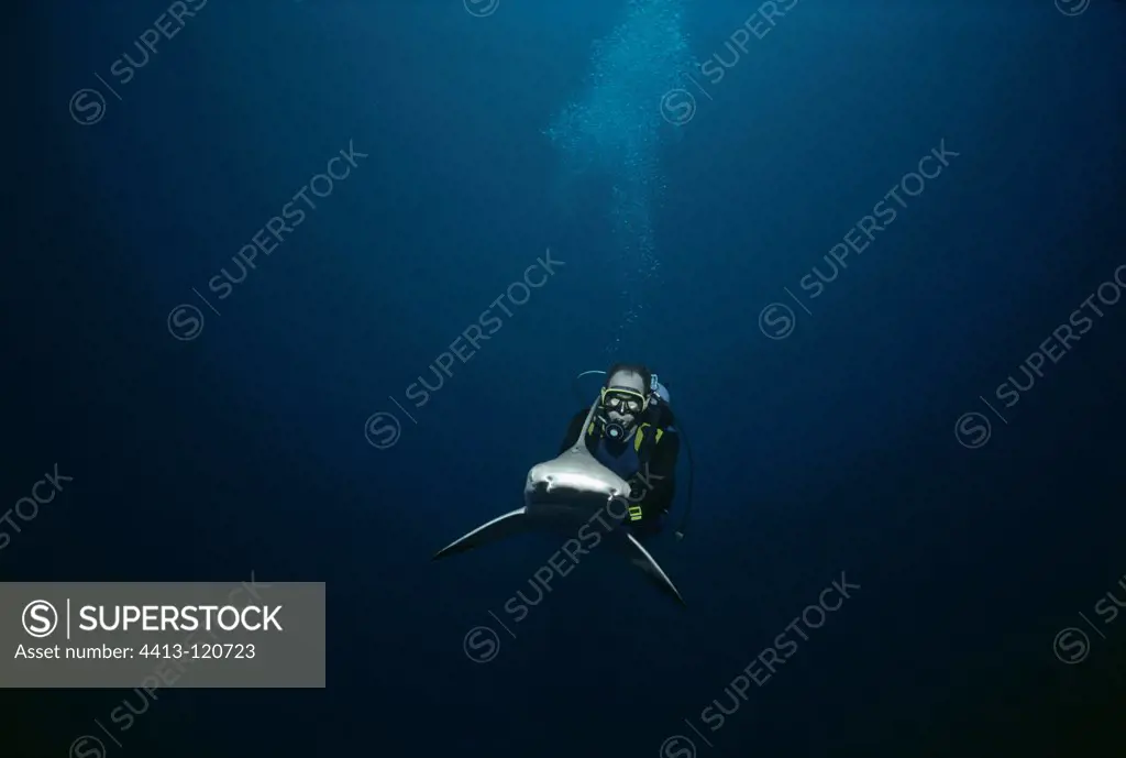 Shark expert Neal Watson riding Lemon Shark Bahamas