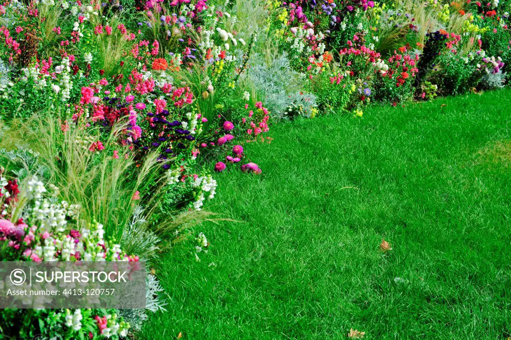 Mixed-border and lawn in a garden