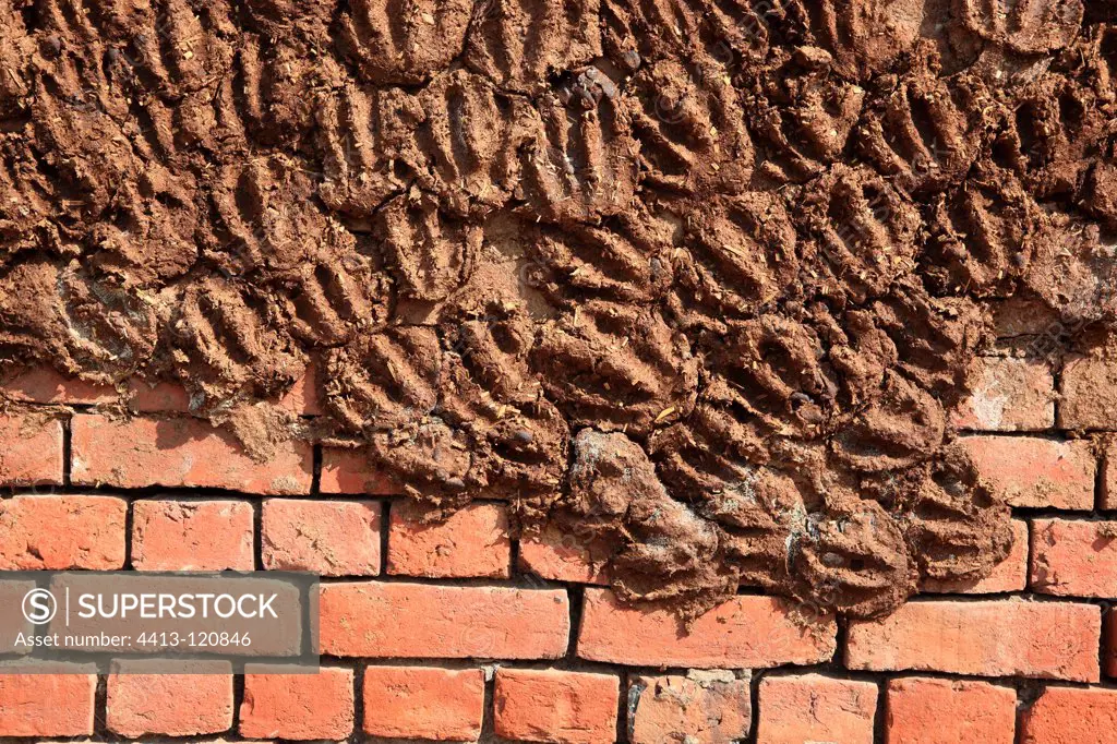Brick wall covered with mud and dung Varanasi India