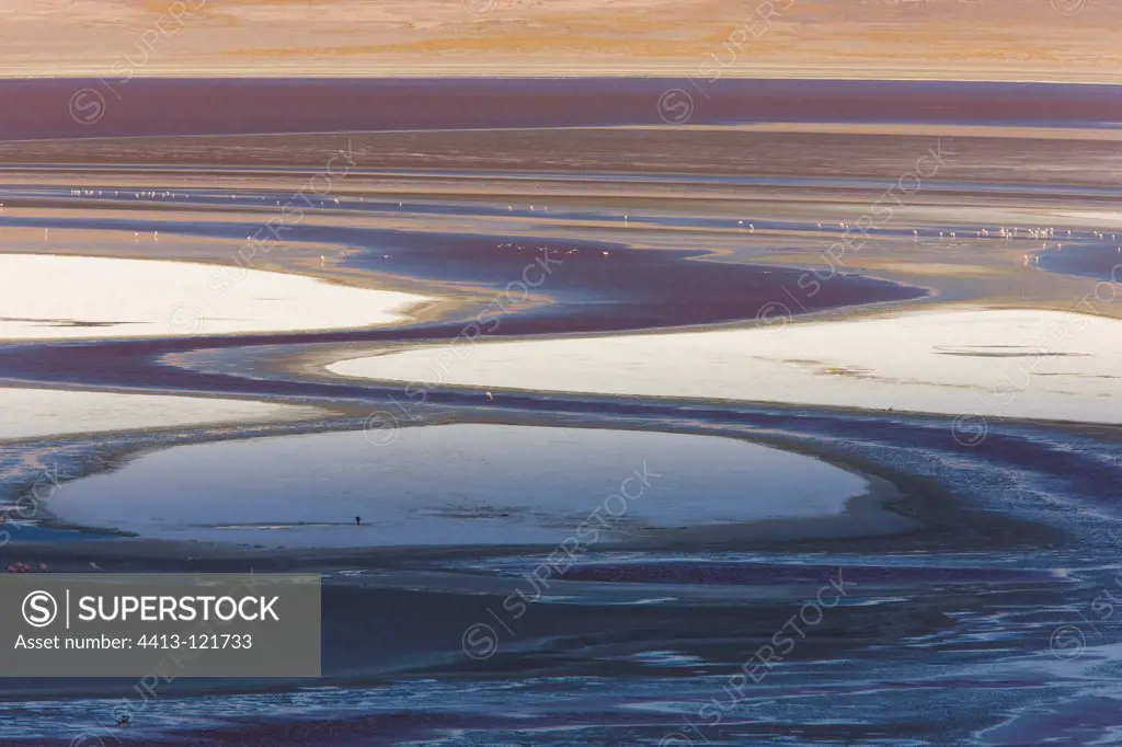 Laguna Colorada with James' flamingos Altiplano Bolivia
