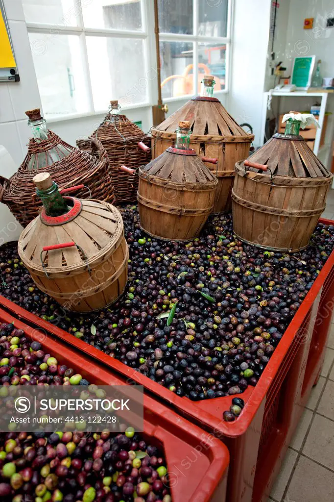 Olive Cooperative in Jonquières Vaucluse France