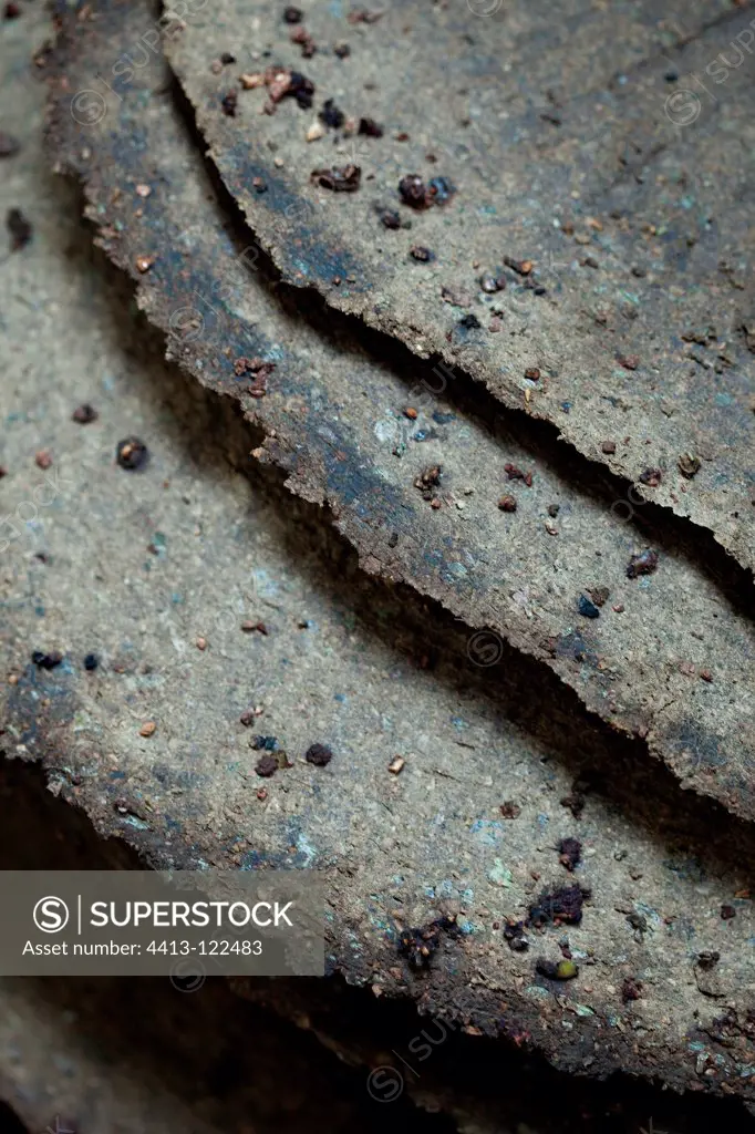 Closeup of dough pressed Olive France