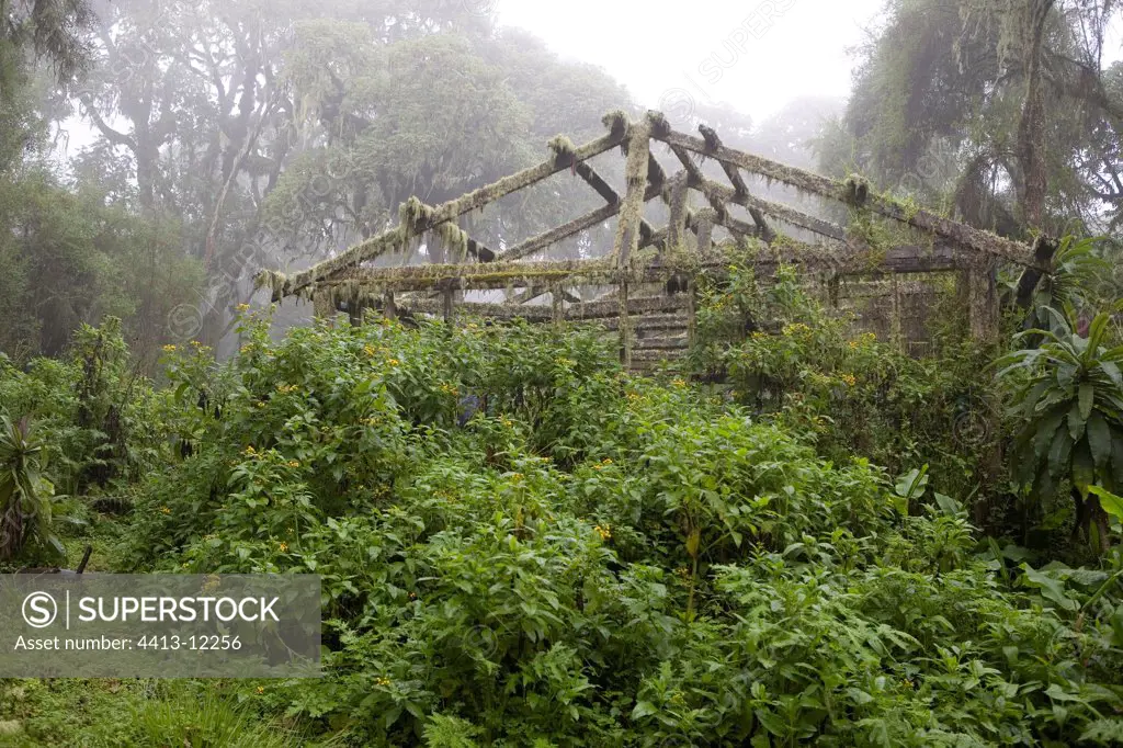 Old Camp of Dian Fossey Volcanos National park Rwanda