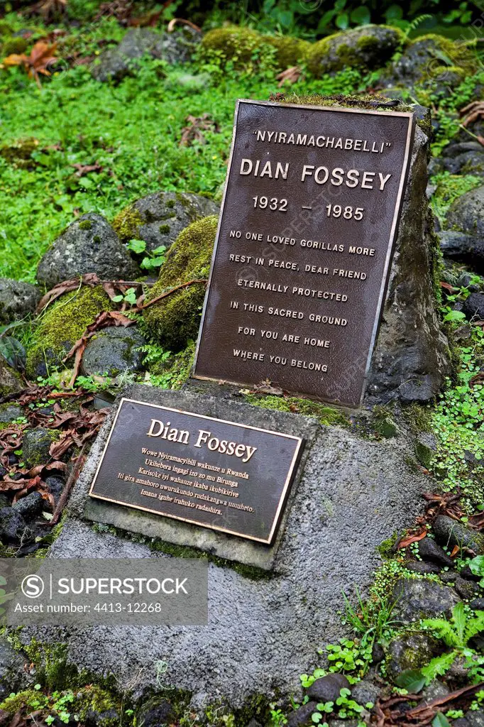 Tomb of Dian Fossey Volcanos National park Rwanda