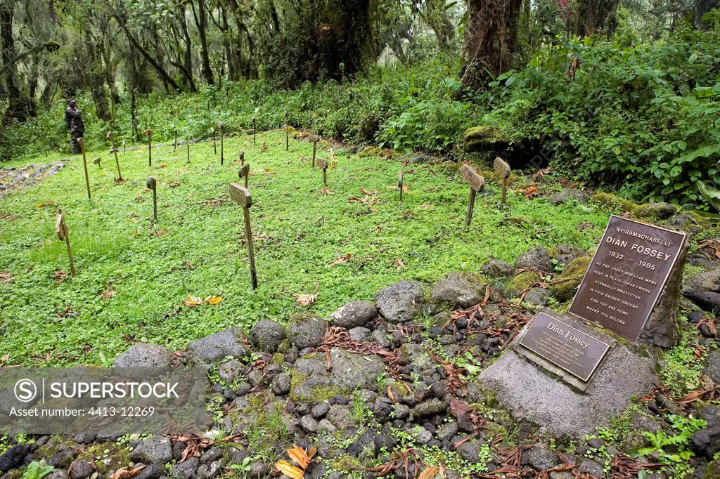 Tomb of Dian Fossey Volcanos National park Rwanda