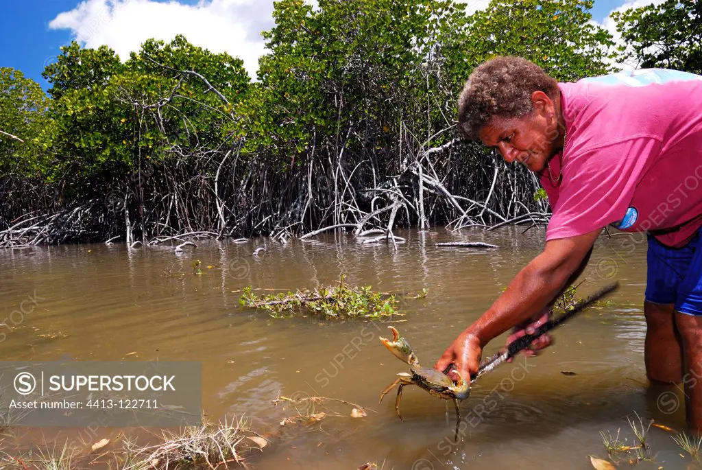 Kanak woman catching a crab mangroveNew Caledonia