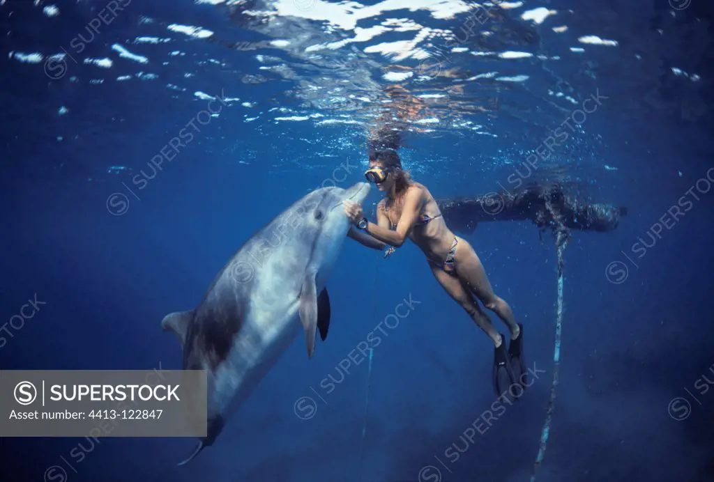 Dolphin trainer interacting with Bottlenose Dolphin Israel