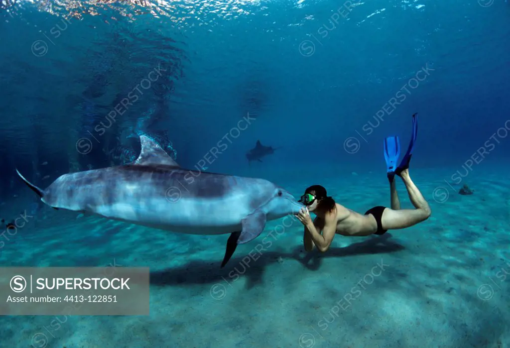 Dolphin trainer kisses Bottlenose Dolphin Israel