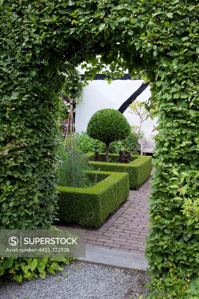 Formal garden entrance with hornbeam hedge