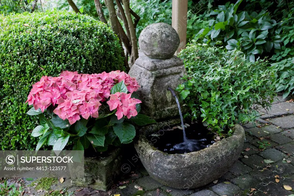 Hydrangea in pot and little garden fountain