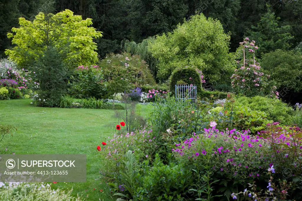 Flowered garden with trees ans shrubs