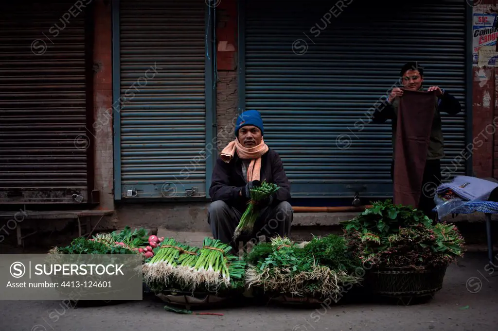 Man and stall vegetables Kathmandu Nepal