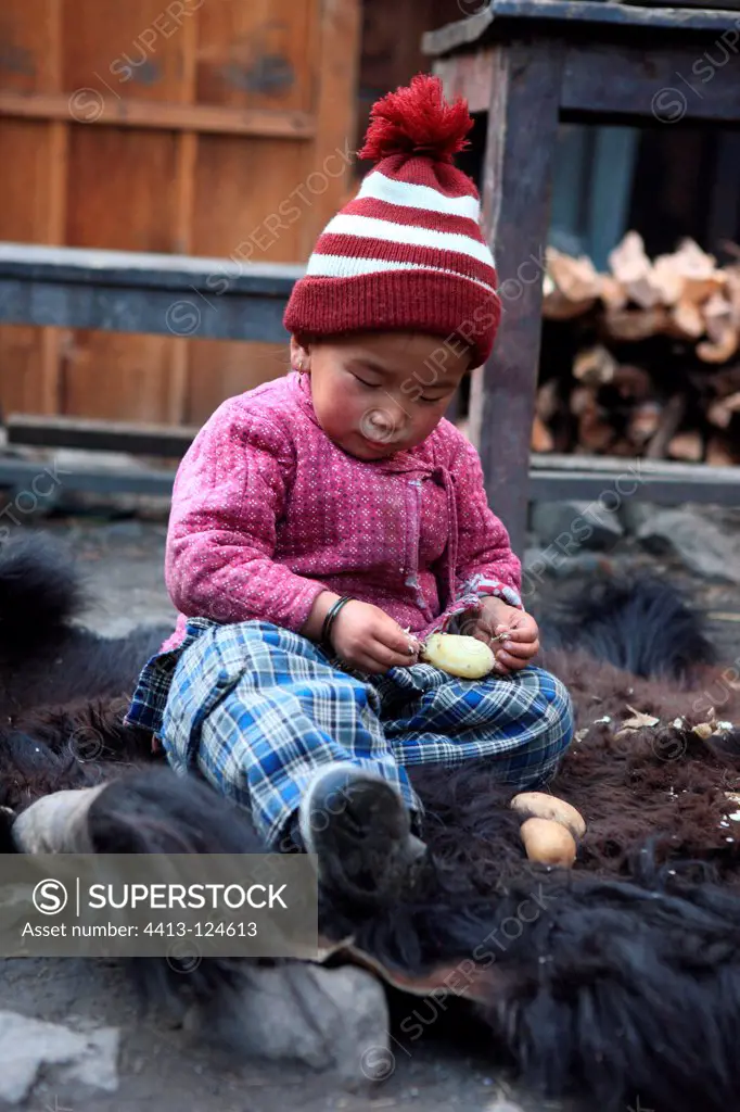 Child peeling a potato on the skin of Yack Chame Nepal