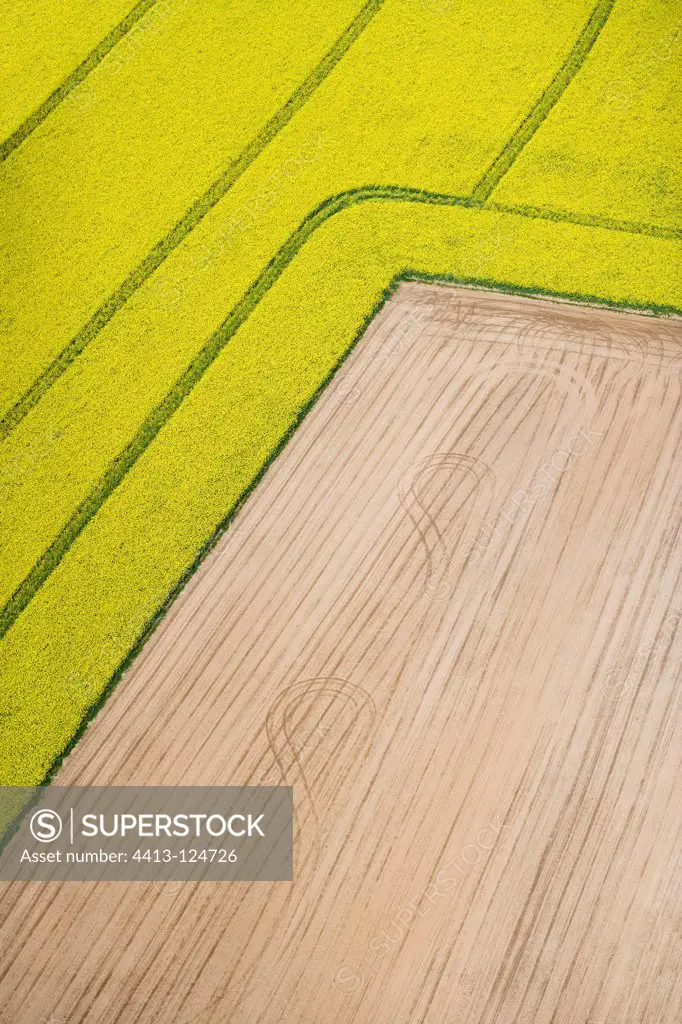 Aerial view of a field of rape in the spring France