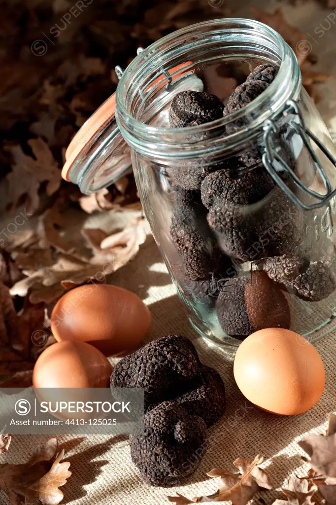 Harvest of black truffles in a jar and eggs