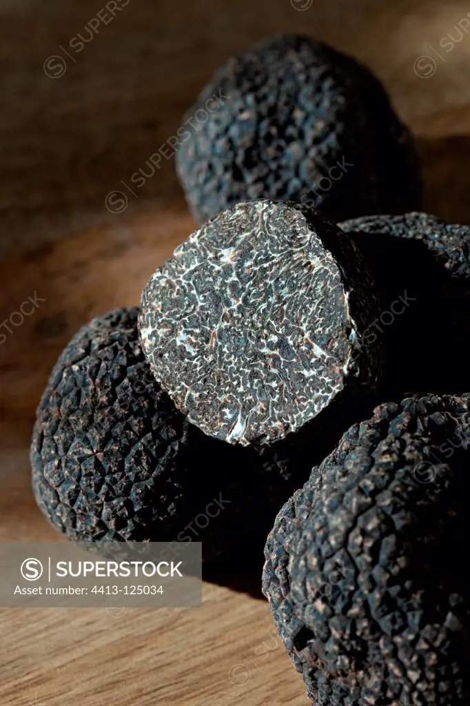 Black truffle cut in two pieces