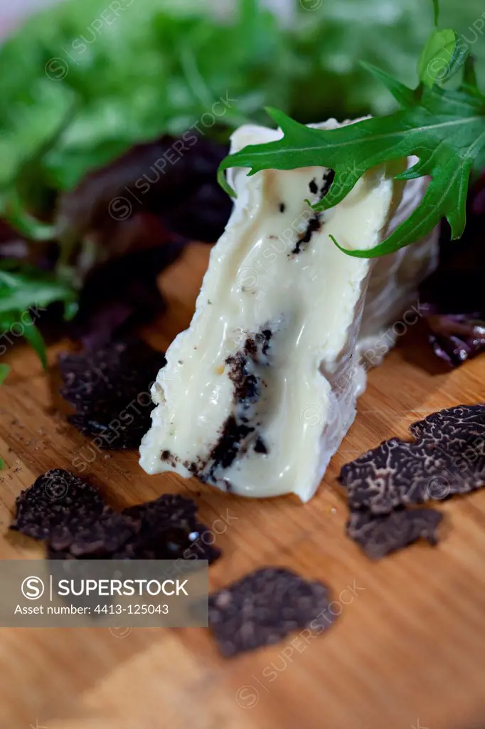 Coulommier cheese and black truffle cut in thin slices