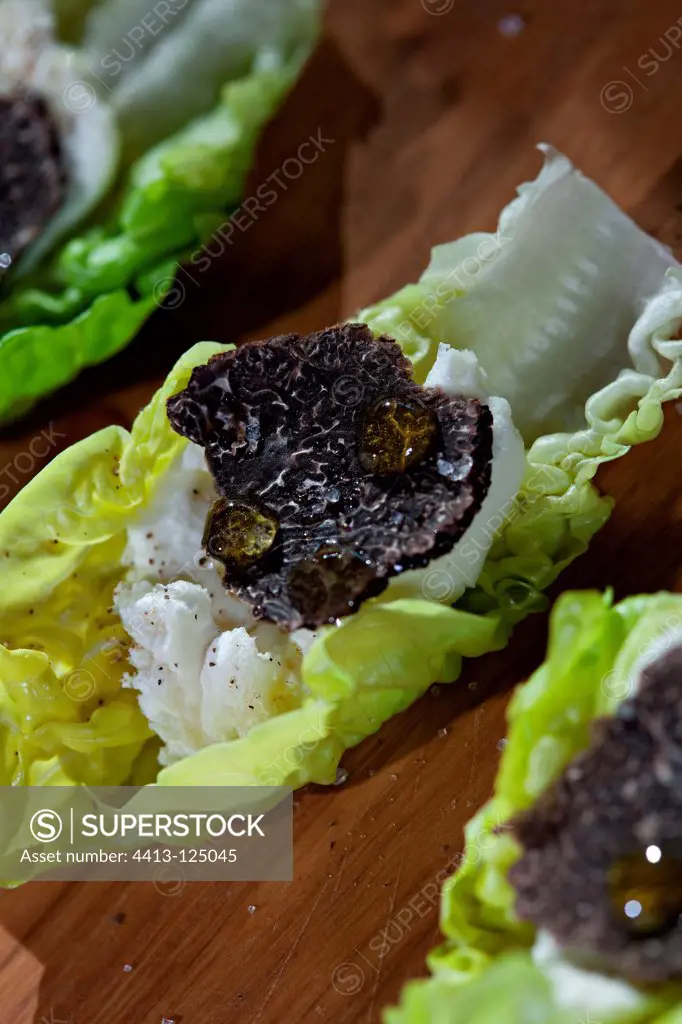 Lettuce and black truffle cut in thin slices with olive oil
