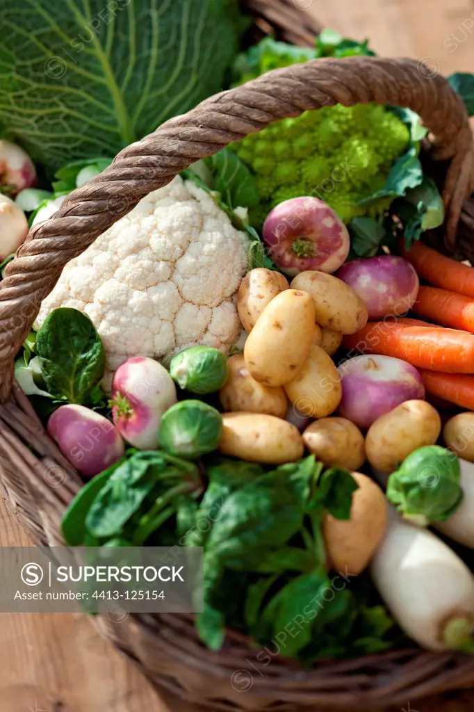 Harvest of vegetables in a basket