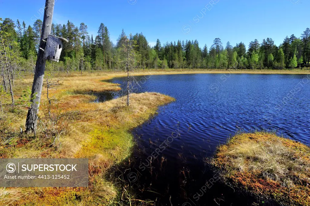 Landscape and Lake Martinselkonen Finland
