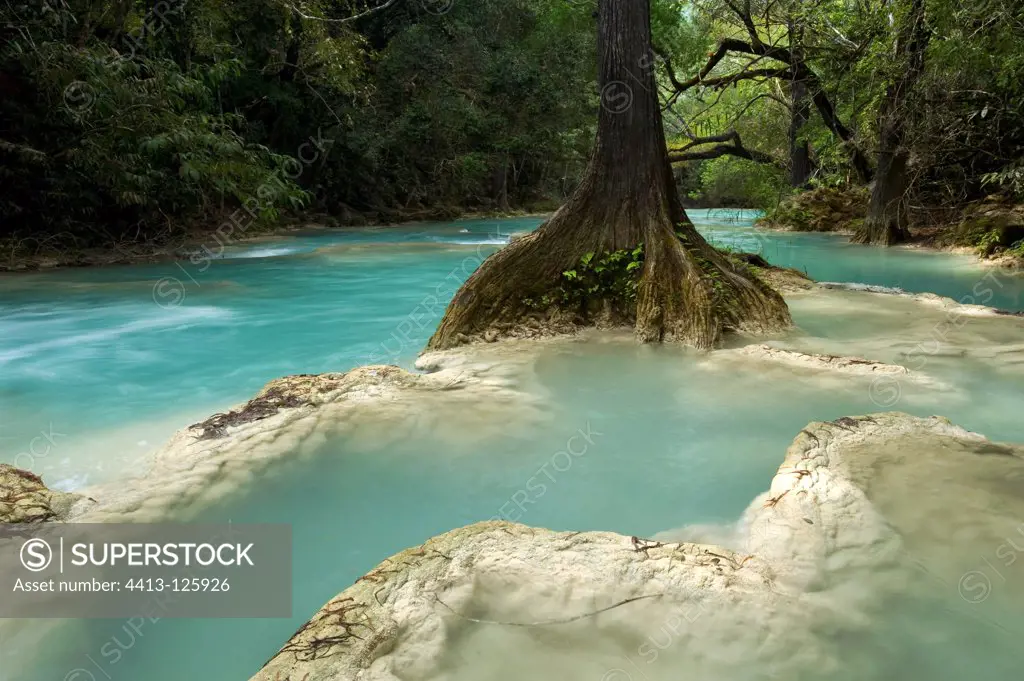 Chiflon river with Cypress and travertines Mexico