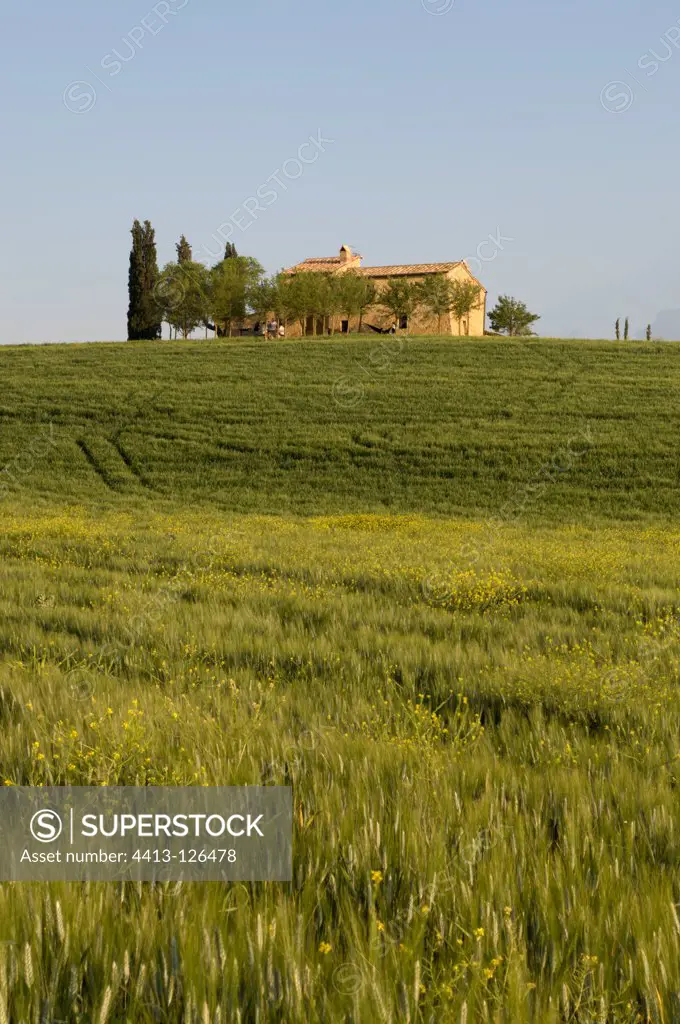 Countryside near Pienza Val d'Orcia Tuscany Italy