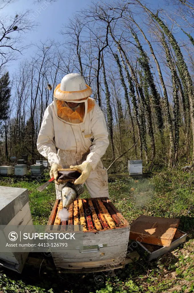 Smoky hive beekeeper to open France