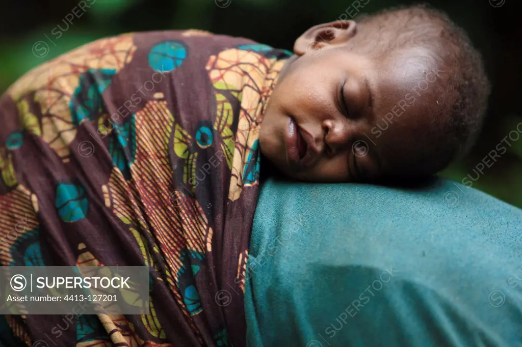 Pygmy Baaka child asleep on her mother Cameroon
