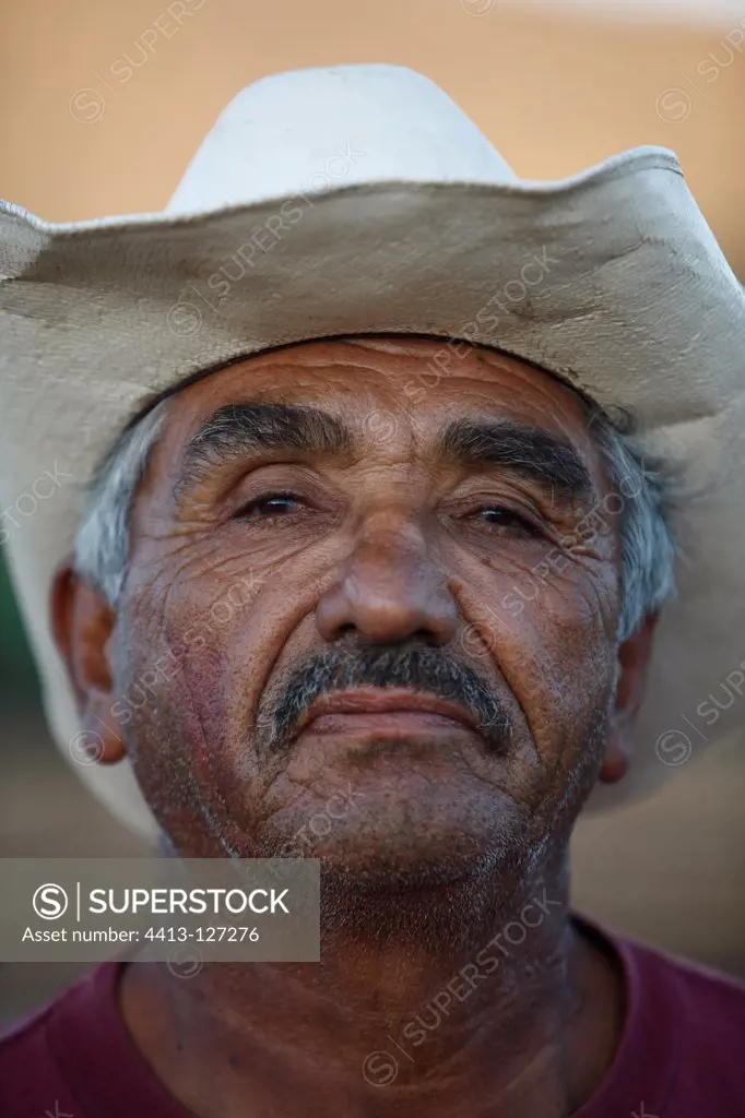 Portrait of a breeder cattle in Vizcaino Desert of Mexico