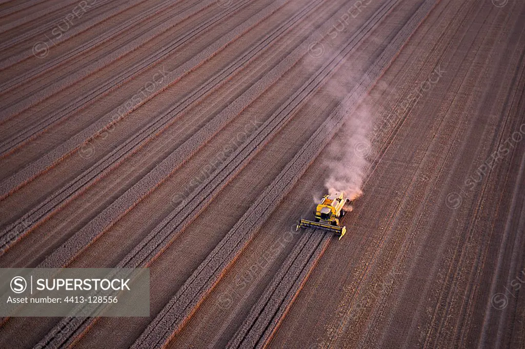 Aerial view of the harvest of wheat hybrid Picardie France