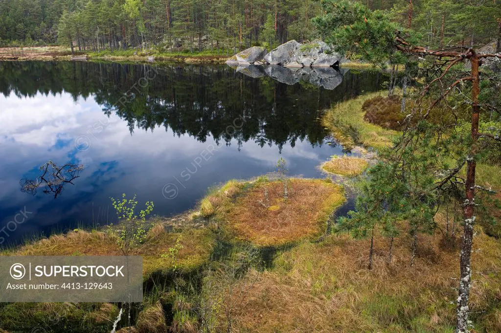 Lake bog and reflection PN Tiveden Sweden