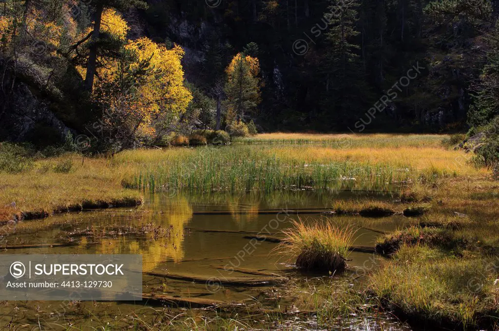 Lake bog in autumn Pourtère Pyrenees France