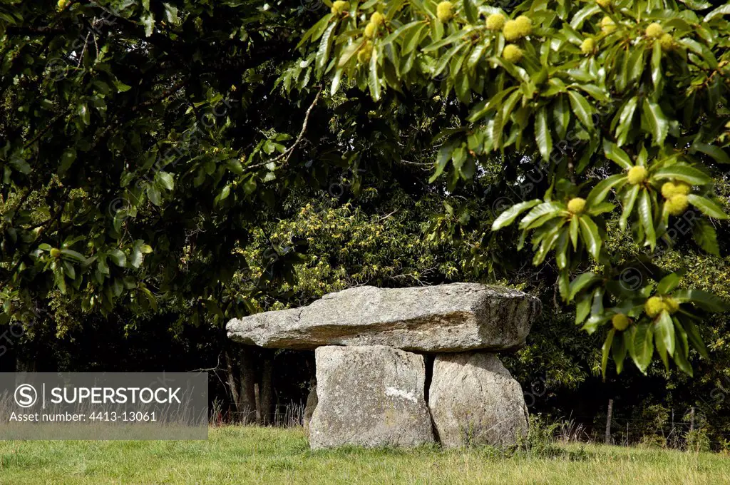 Dolmen of Bagnol surrounded by chestnuts Basse Marche